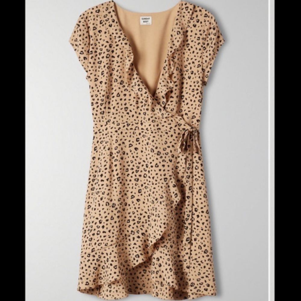 Aritzia dress